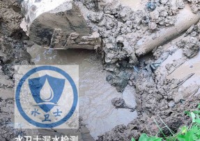 德兴水管漏水检测公司5